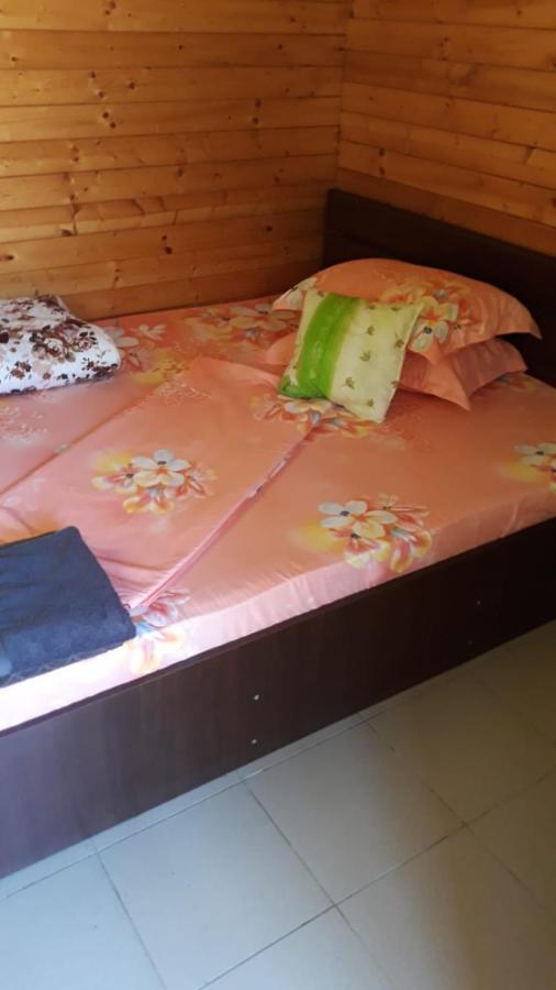 Hotel Cazare Balliu Corbu  Zewnętrze zdjęcie