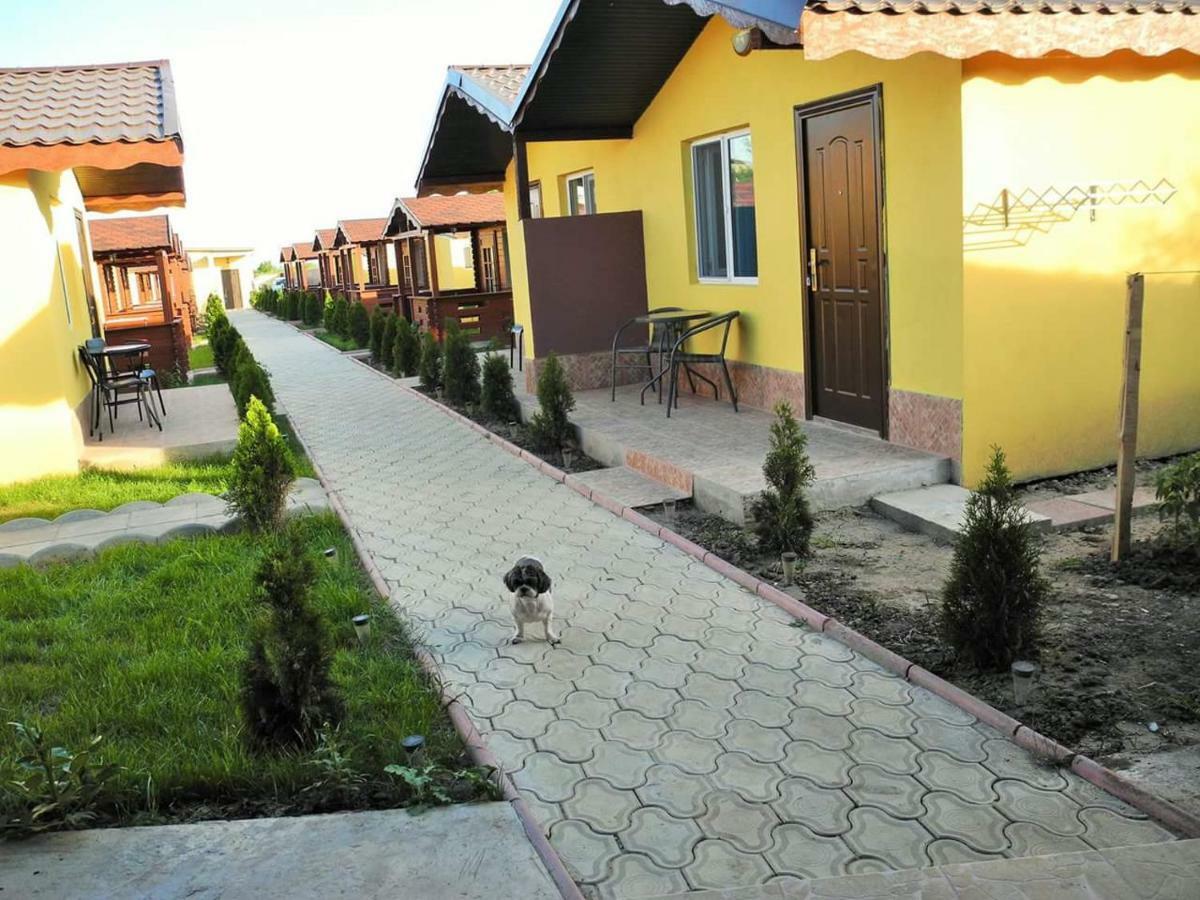 Hotel Cazare Balliu Corbu  Zewnętrze zdjęcie