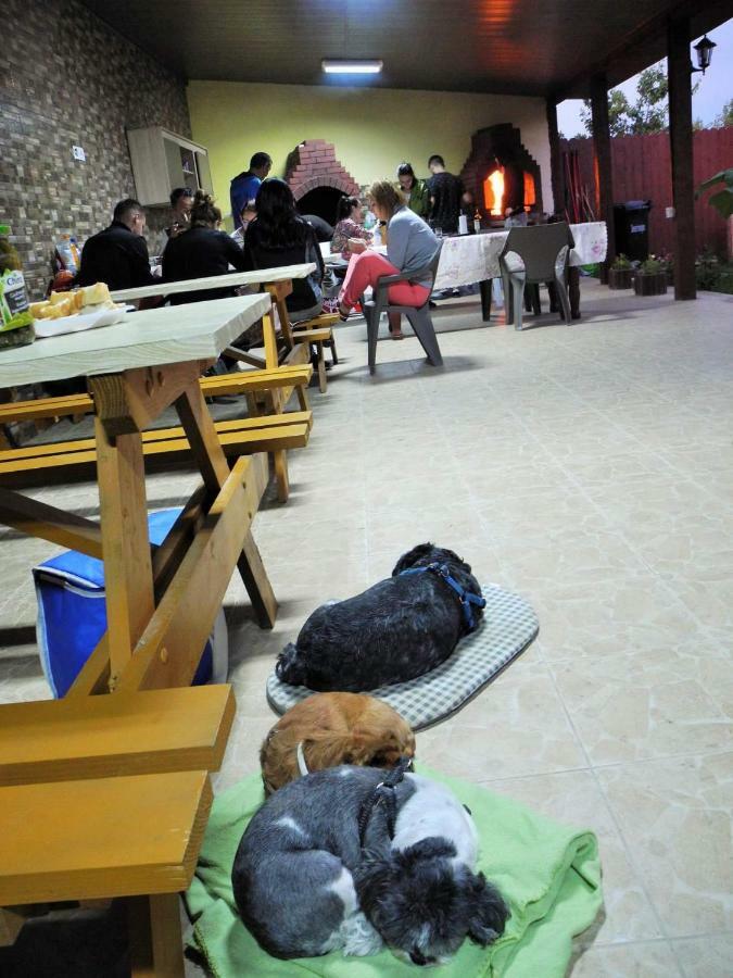 Hotel Cazare Balliu Corbu  Zewnętrze zdjęcie